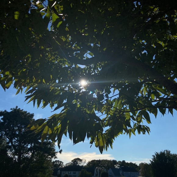 Meet your Posher, Neill - Picture 1 of 1